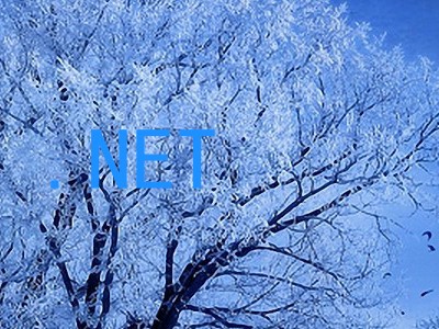 .NET