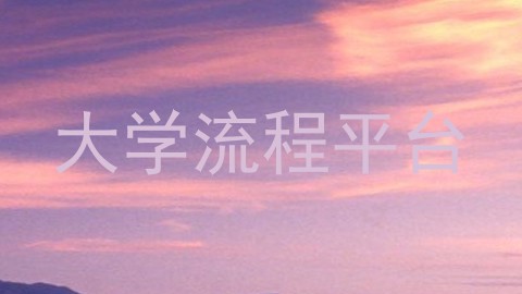 大学流程平台