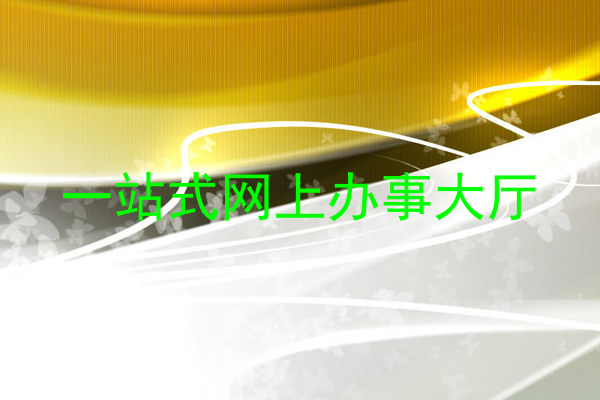 一站式网上办事大厅