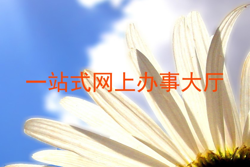 一站式网上办事大厅