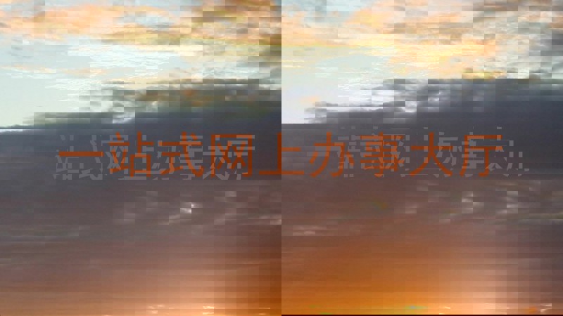 一站式网上办事大厅