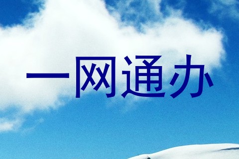 一网通办