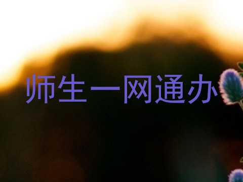 师生一网通办