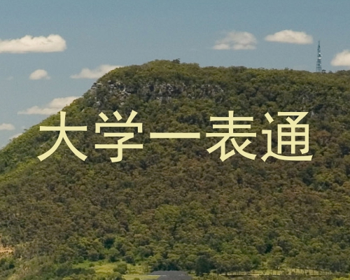 大学一表通