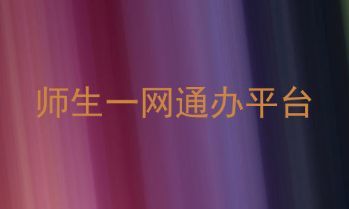 师生一网通办平台