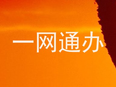 一网通办