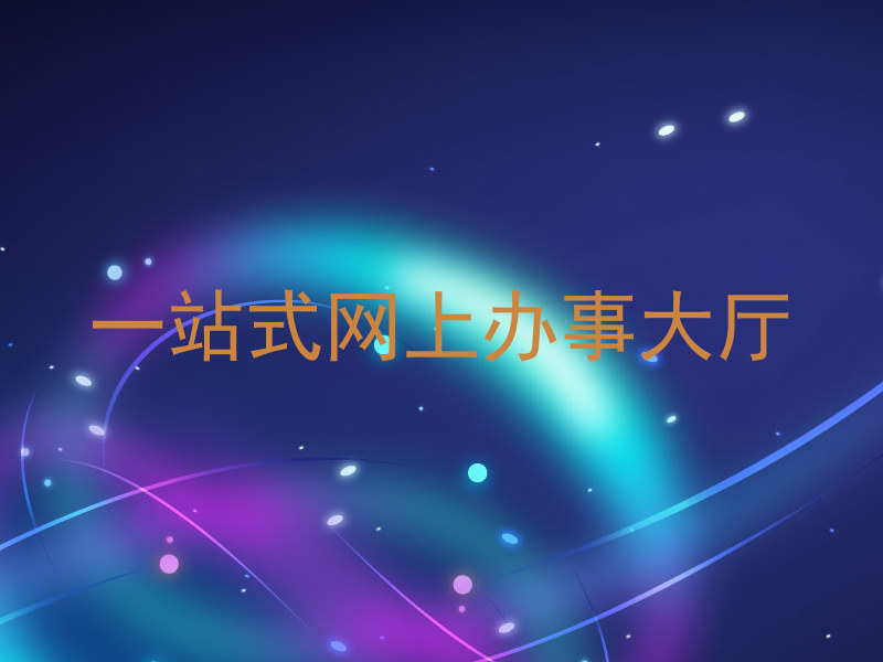 一站式网上办事大厅