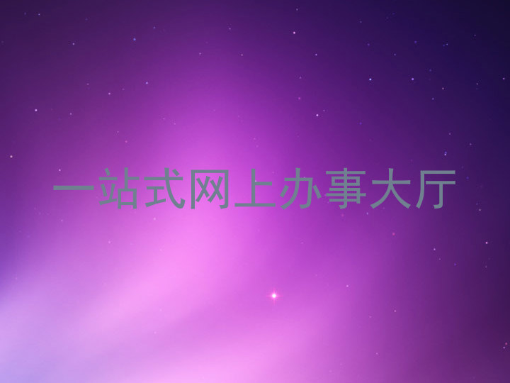 一站式网上办事大厅