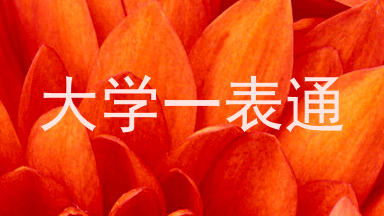 大学一表通