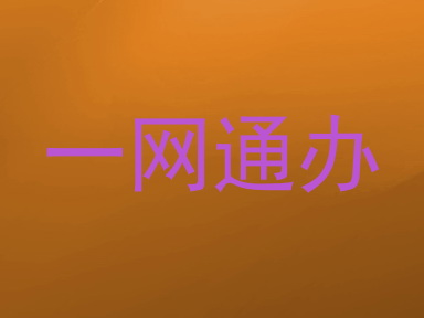 一网通办