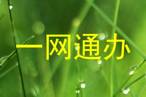 一网通办