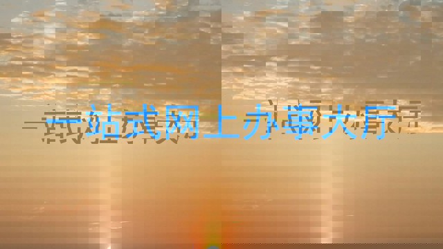 一站式网上办事大厅