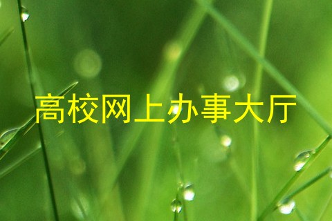 高校网上办事大厅