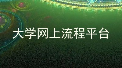 大学网上流程平台