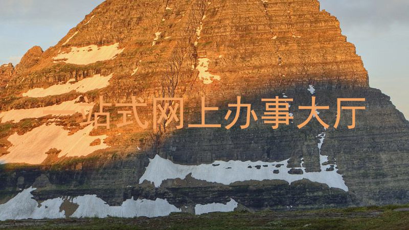 一站式网上办事大厅
