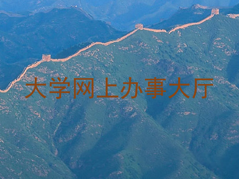 大学网上办事大厅