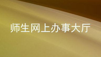 师生网上办事大厅