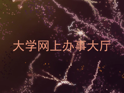 大学网上办事大厅