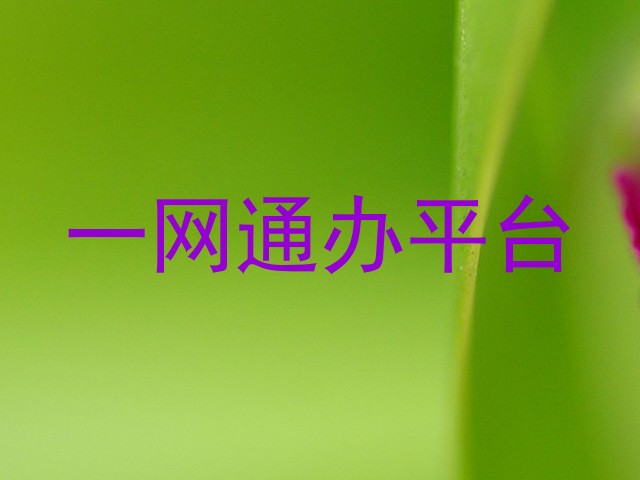 一网通办平台