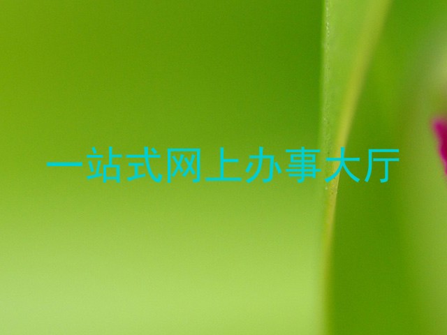 一站式网上办事大厅