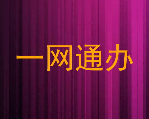 一网通办