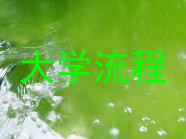 大学流程