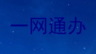 一网通办
