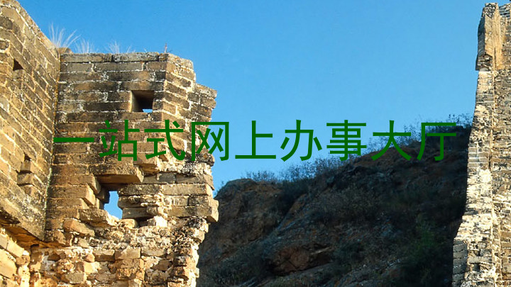 一站式网上办事大厅