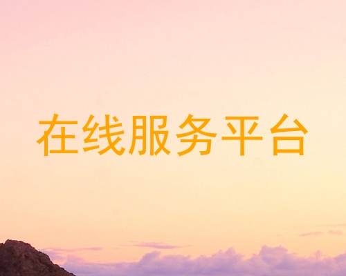 在线服务平台