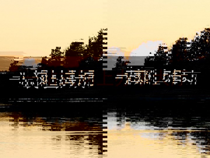 一站式网上办事大厅