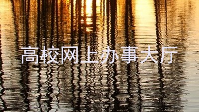 高校网上办事大厅