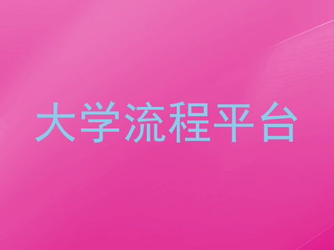 大学流程平台