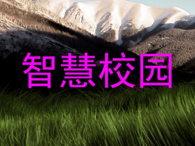 智慧校园