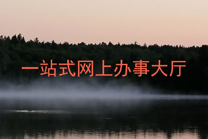 一站式网上办事大厅