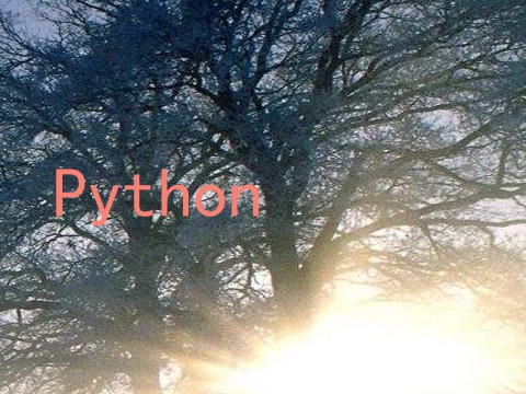 Python