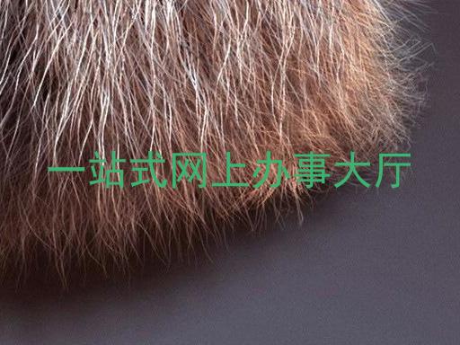 一站式网上办事大厅