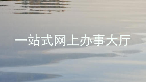 一站式网上办事大厅