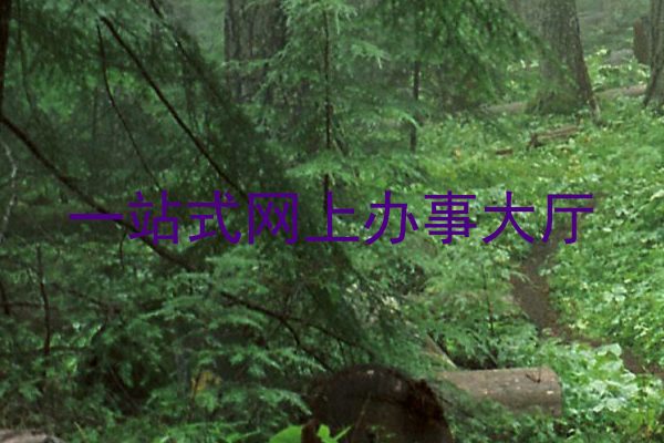 一站式网上办事大厅