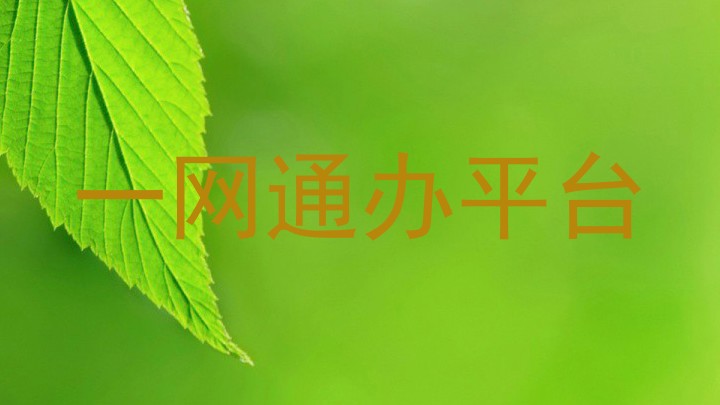 一网通办平台