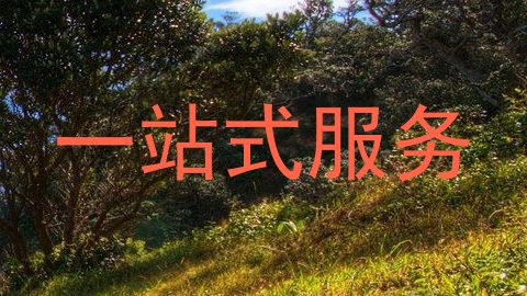 一站式服务