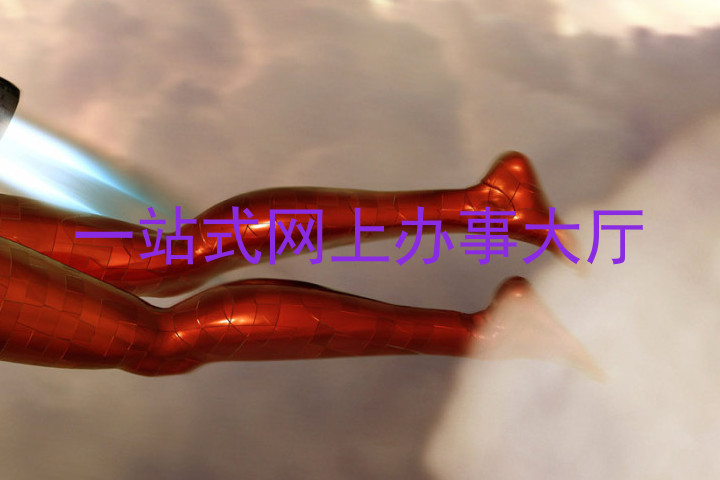 一站式网上办事大厅