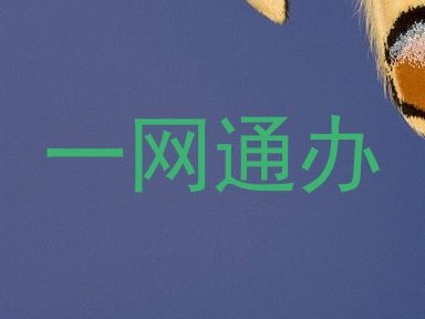一网通办