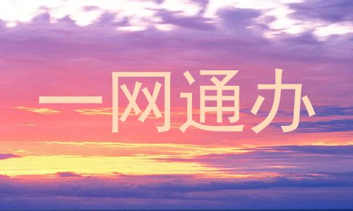一网通办