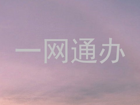 一网通办