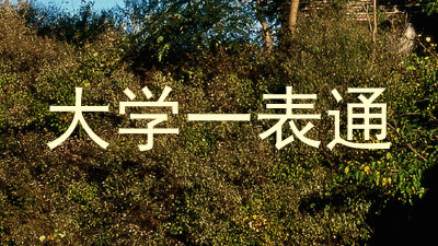 大学一表通