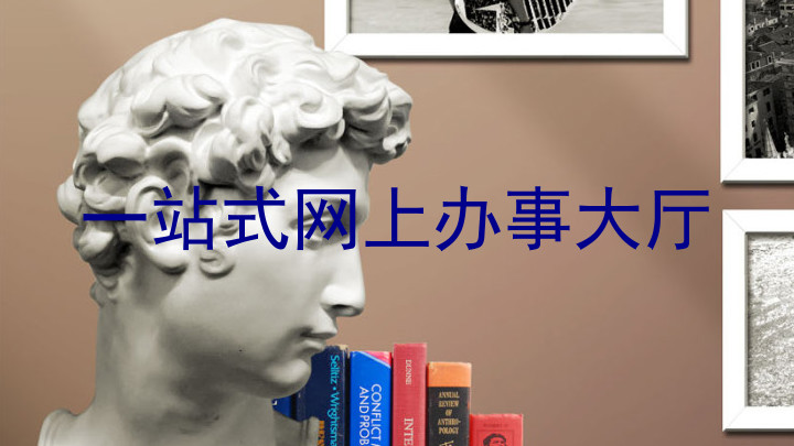 一站式网上办事大厅