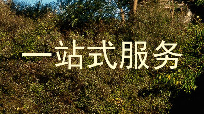 一站式服务