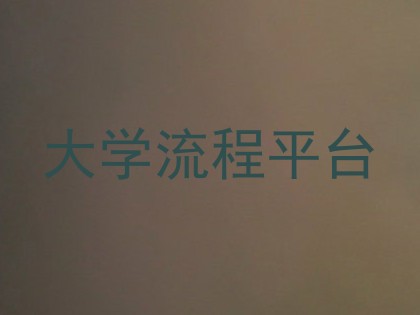 大学流程平台