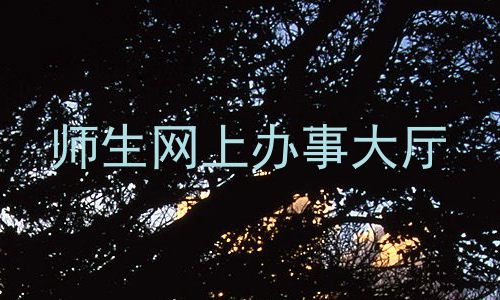 师生网上办事大厅