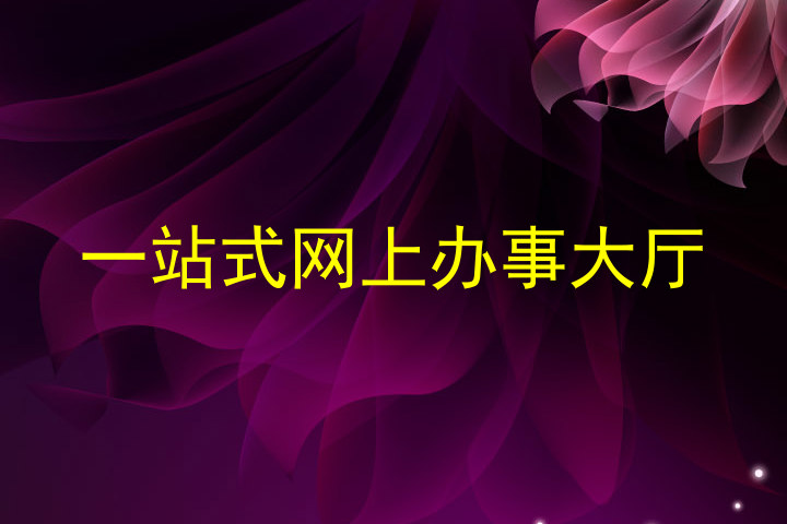 一站式网上办事大厅